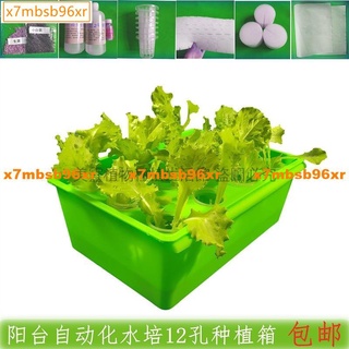 優惠送定植籃等配件 無土栽培水耕裝置 家庭蔬菜陽臺種菜箱 水培種菜水耕裝置 種菜神器種植箱 水培箱 水耕箱496