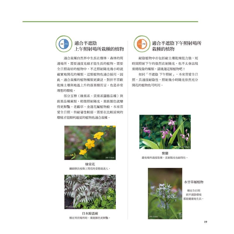 日照不足也ok 以耐陰植物打造美麗庭園 折 蝦皮購物