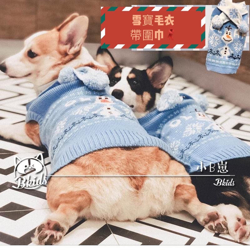 【限量】免運雪寶寵物狗毛衣保暖衣服柯基米克斯貴賓小中型犬冬天衣服保暖圍巾　寵物狗衣服