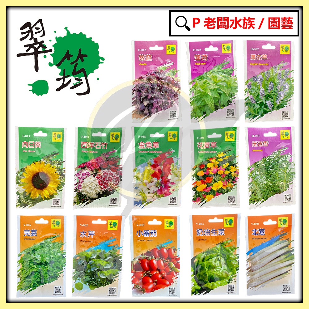 P老闆園藝~翠筠 種子系列 蔬菜 蔬果 九層塔 蔥 草莓 菜種 園藝 花種 種子