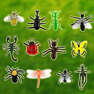 12入小昆蟲總動員模擬模型組(ST505)缺蜻蜓