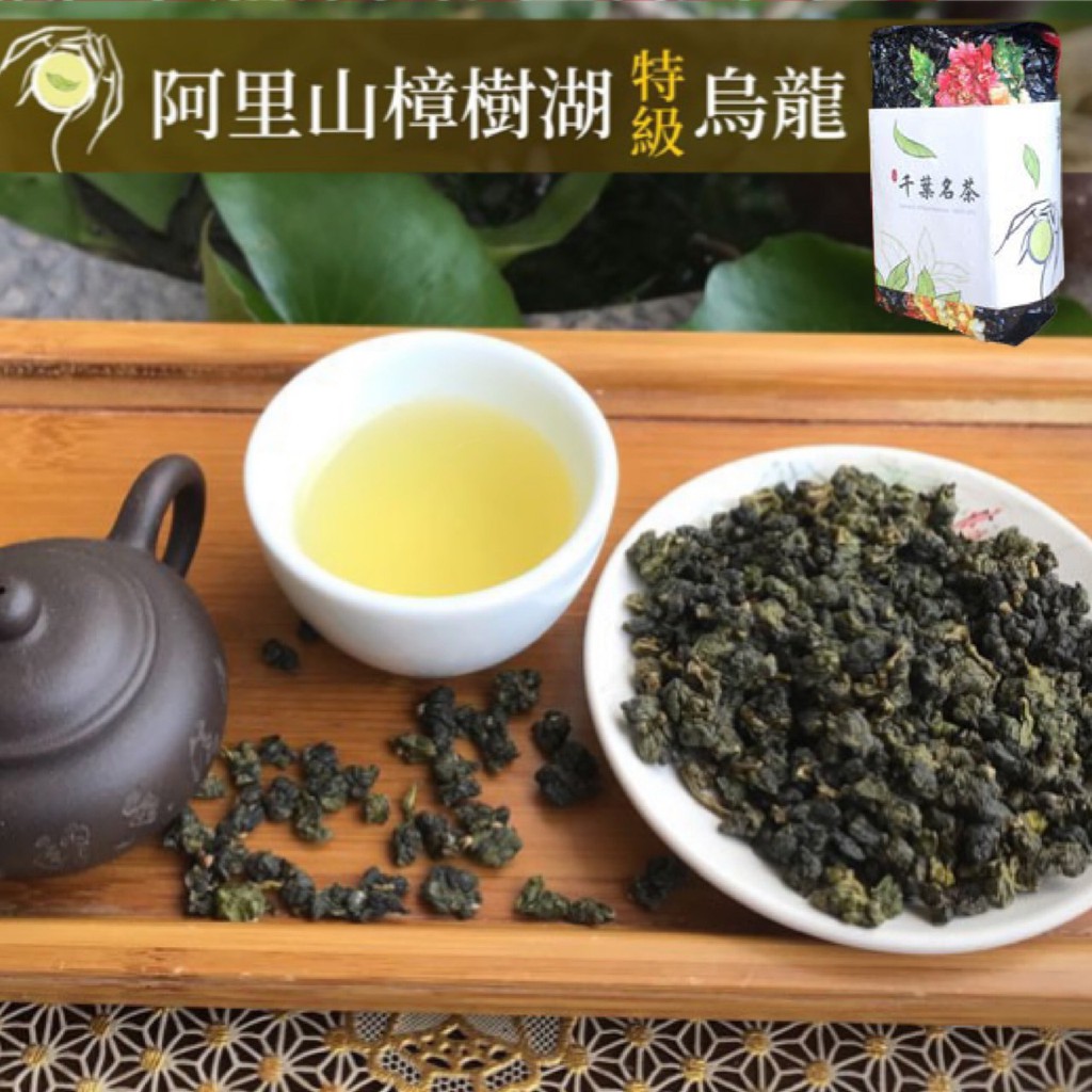 【千葉茶葉】阿里山樟樹湖手採高冷特級烏龍茶/青茶高山茶400元/四兩(150G)｜評鑑嚴選茶買五斤送半斤 (可加購禮盒)