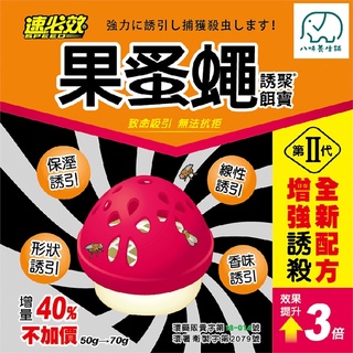 速必效 果蚤蠅 誘聚餌寶 50g 台灣正版現貨 捕蠅器 除蟲現貨 仿熟透果實果凍狀 果蠅 除蟲劑 【委託刊登廣告】