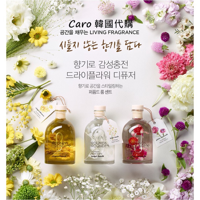 韓國乾燥花 Ptt Dcard討論與高評價網拍商品 21年11月 飛比價格
