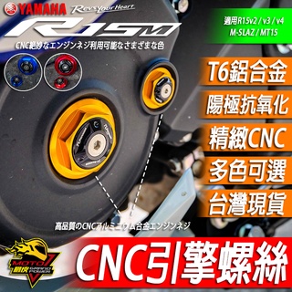 CNC引擎螺絲 R15 MT15 MSLAZ R15v3 R15v4 一組兩顆 改裝品 腳踏後移前螺絲 v3 v4 M