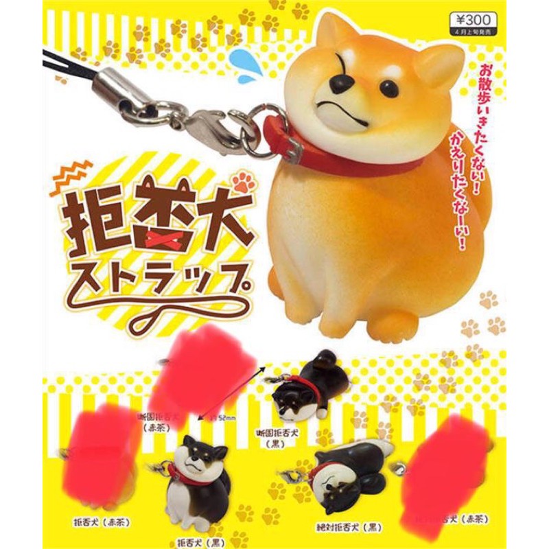 拒否犬在拍賣的價格推薦 21年3月 比價比個夠biggo