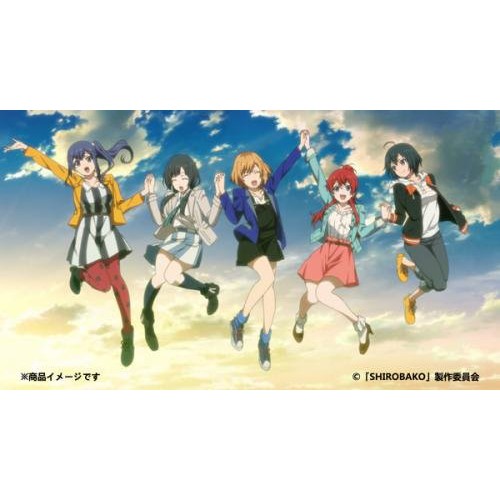 日本販賣通 現貨供應 白箱shirobako 第23話ending Design B2掛軸 蝦皮購物