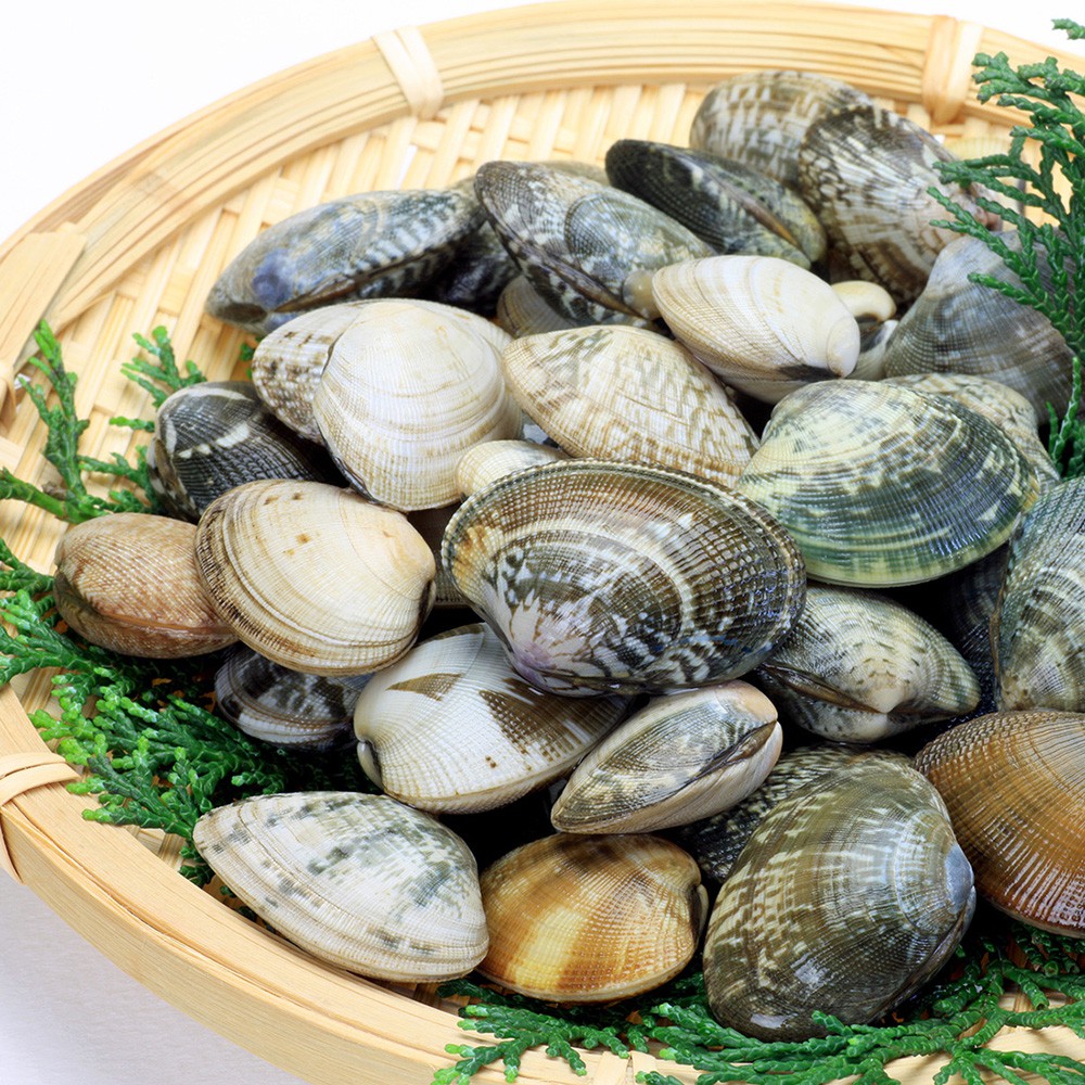 甲上生鮮 急凍帶殼海瓜子500g 包 三杯海瓜子 水產 海產 蛤蜊 蛤蜊肉 蛤仔 三杯鮮蛤 蝦皮購物