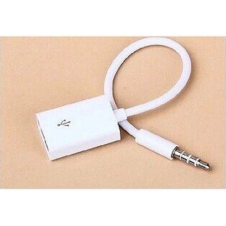 USB母頭/3.5mm公 硬碟接12V汽車/CD player aux mp3 音源線/轉接線/訊號線 (白)