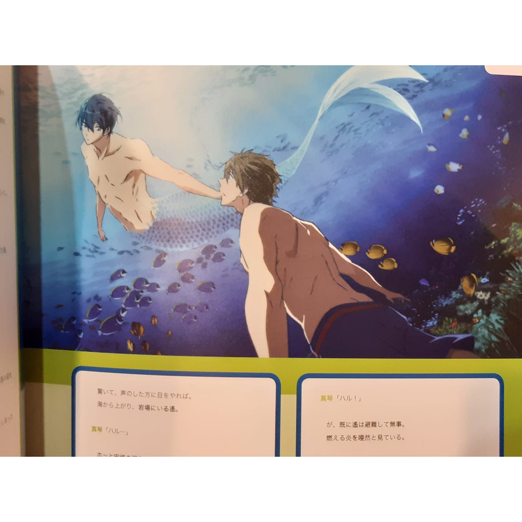 日版free 男子游泳部遙真琴真遙限定mook 公式書 手鍊 蝦皮購物