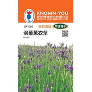 《農友種苗》特選花卉種子 SF-060 羽葉薰衣草