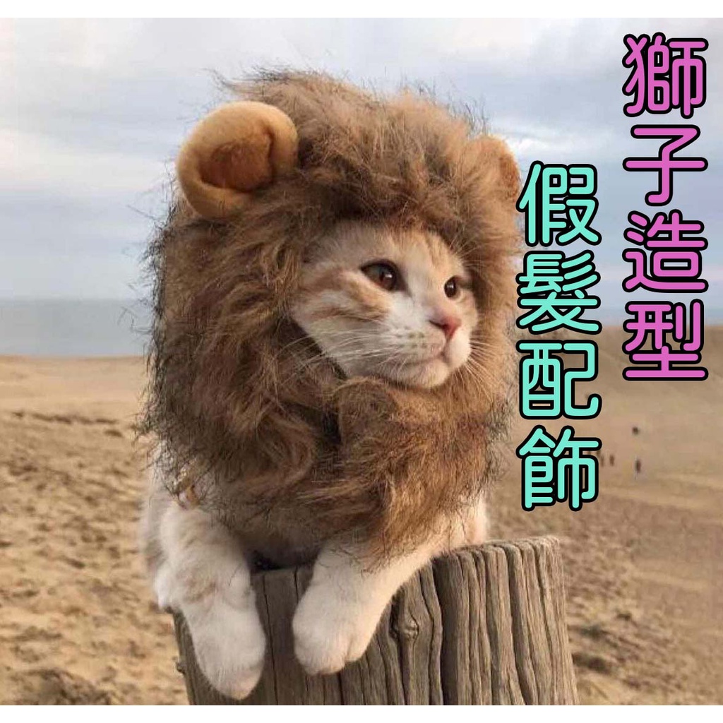 獅子髮飾 獅子頭套 貓咪 可愛獅子頭套（快速出貨） 保暖頭套 小耳朵帽子 寵物帽 貓咪假髮 狗貓變裝 貓咪頭飾