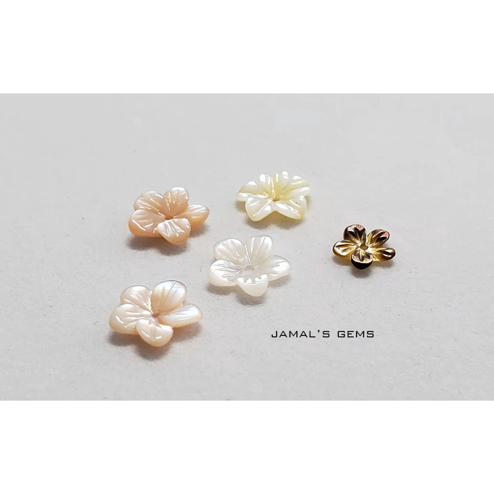【JAMAL's Gems】貝殼花系列 精緻雕刻 串珠DIY 螺貝原色