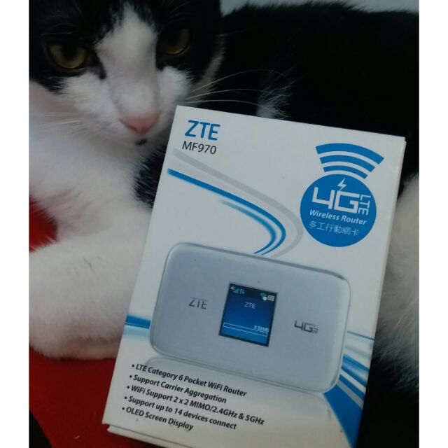 ZTE MF970 Wifi網路分享器 - 支援2CA 4G行動網卡 遠傳公司貨
