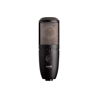 AKG P420 電容式麥克風 專業級 樂器錄音室 樂器錄音 ｜宛伶樂器