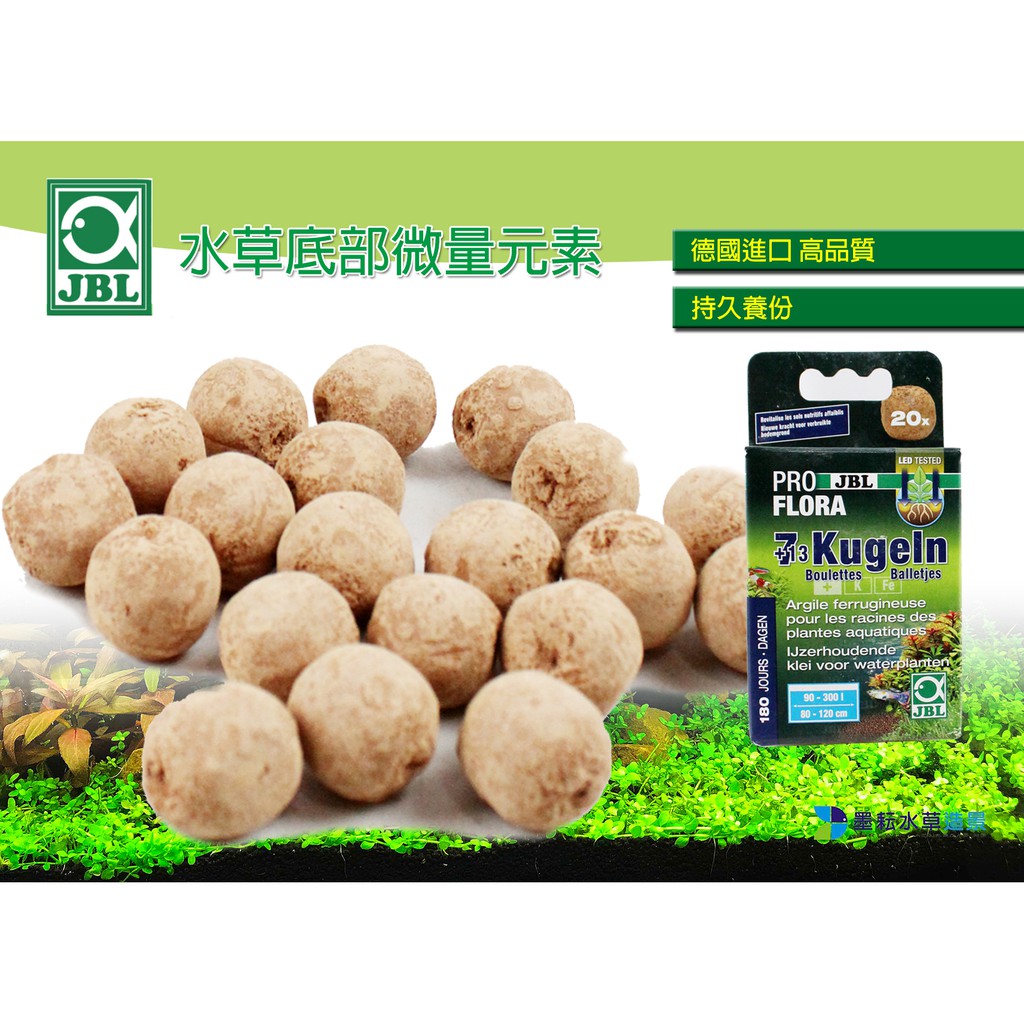 人氣推薦商品與線上折扣優惠 墨耘水草造景 新竹 蝦皮台灣