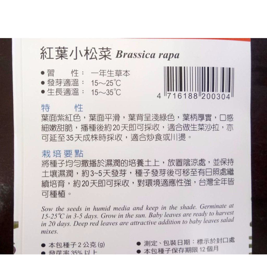 菜子店紅葉小松菜小松菜種子生菜沙拉炒食兩用紅色小松菜紅色小松菜種子貝比菜 蝦皮購物
