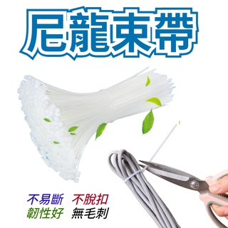束帶【臺灣現貨】固定帶 電線收納 充電線收納 延長線收納 束線帶 尼龍束帶 尼龍束線帶 紮帶 綁帶 紮線帶 綑綁帶