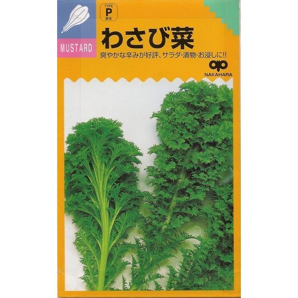 【蔬菜種子S011】山葵菜~~有山葵風味而得名。適合生菜沙拉、炒食及醃漬。