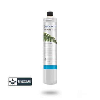 愛惠浦 淨水濾芯 EF6000 (大巨光)