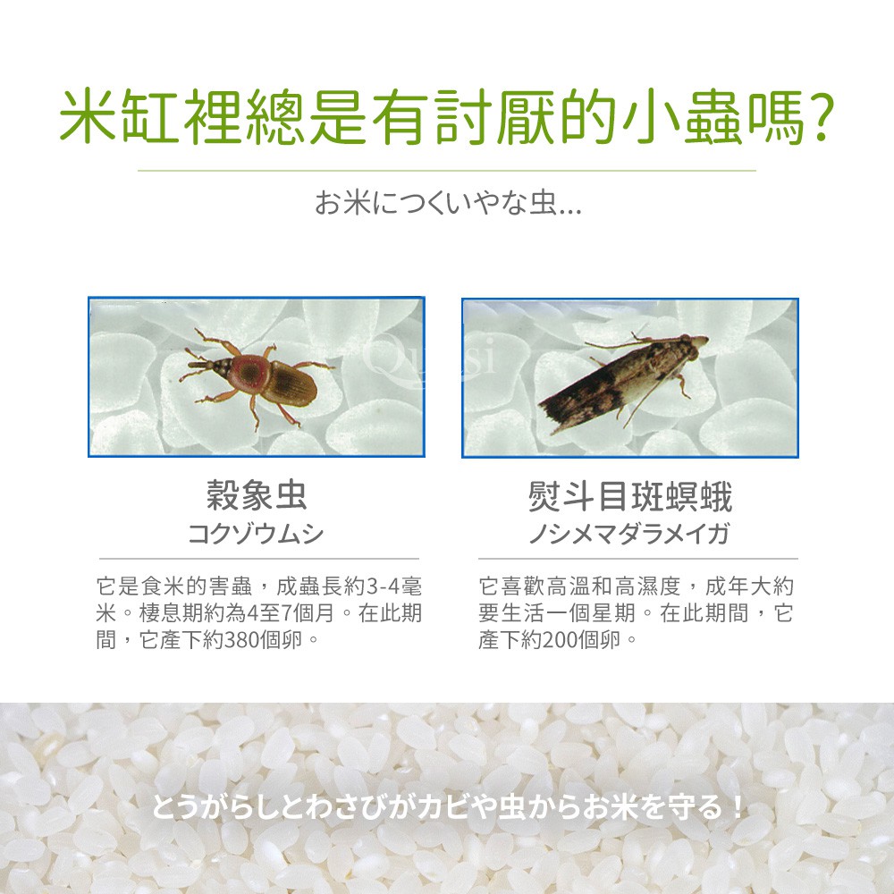 日本製米箱防蟲除濕劑 蝦皮團購 蝦皮購物