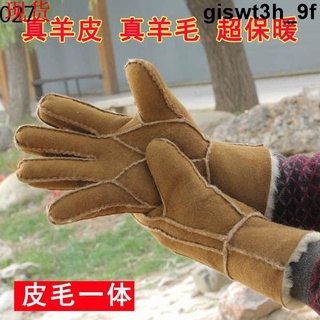 臺中熱賣🔥真皮手套羊皮毛一體手套男士冬季加厚加絨保暖防滑防風騎車摩托車🔥免運