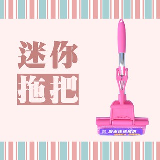 迷你拖把-粉紅 清潔掃除 小拖把 洗車 現貨 臻品小舖 GLM20