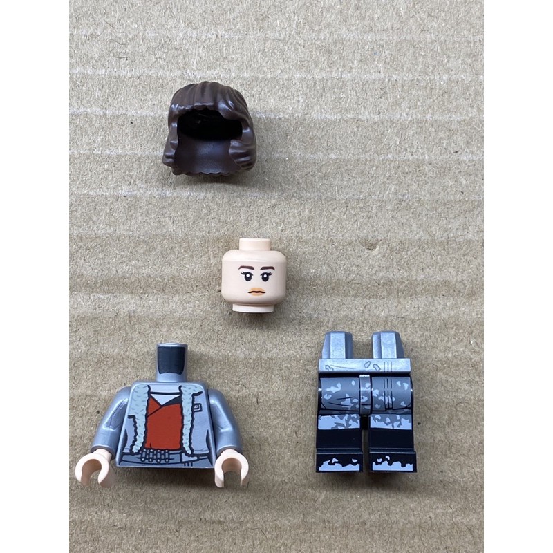 LEGO 樂高 人偶 琦拉 星際大戰 75209