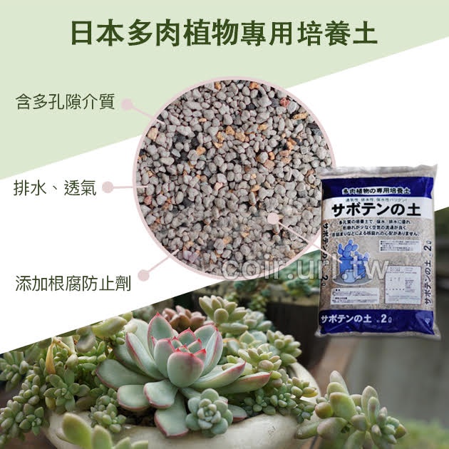 現貨 全館790免運 日本 多肉植物專用培養土2公升x2 花田綠地有機質培養土6公升x1 多肉觀葉 蝦皮購物