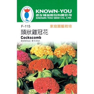 種子王國 頭狀雞冠花 混合色【花卉種子】 農友牌 小包裝種子 約100粒/包
