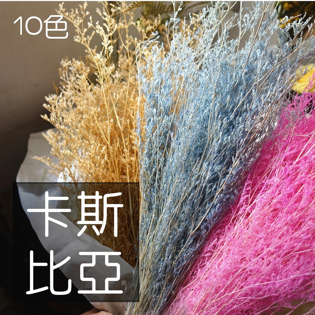 My Wonderful 🏆熱銷冠軍！買5送1 乾燥花材1束最低$30【卡斯比亞／永生卡斯比亞】永生花／乾燥花
