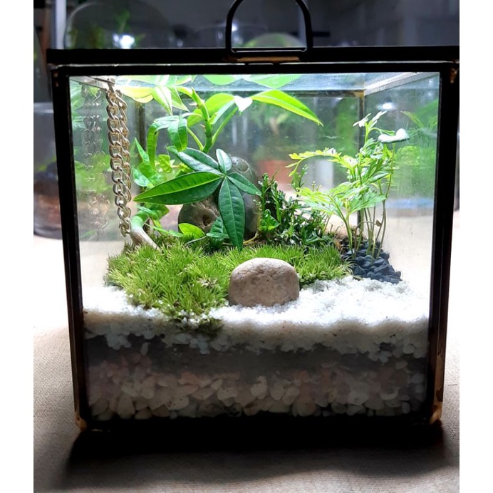 小山映子瓶中花園 日式禪庭生態瓶 材料包 玻璃植栽 苔蘚 瓶中植物 水晶瓶 永生瓶 綠色星球 禮物 療癒小物 植栽