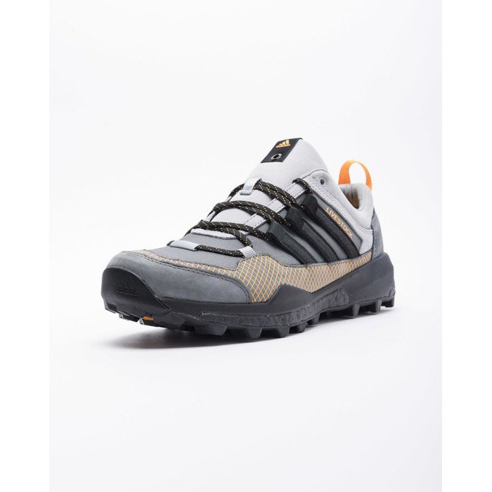 adidas livestock terrex