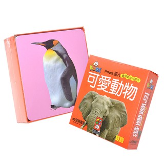 風車圖書 FOOD超人可愛動物聰明認知大圖卡42張，識字圖卡、親子互動 娃娃購 婦嬰用品專賣店