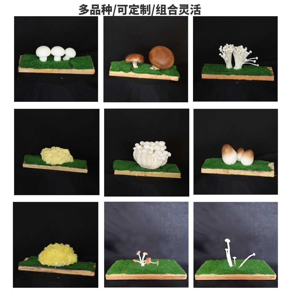 仿真食用菌模型木板文創擺件蘑菇標本假香菇口蘑平菇木耳道具定做
