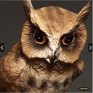 🍁 （2款★現貨高品質）仿真 大型 貓頭鷹 owl 暗公叫 夜行 鳥禽 動物模型 野生動物 兒童 益智 SPG 隨草憶境