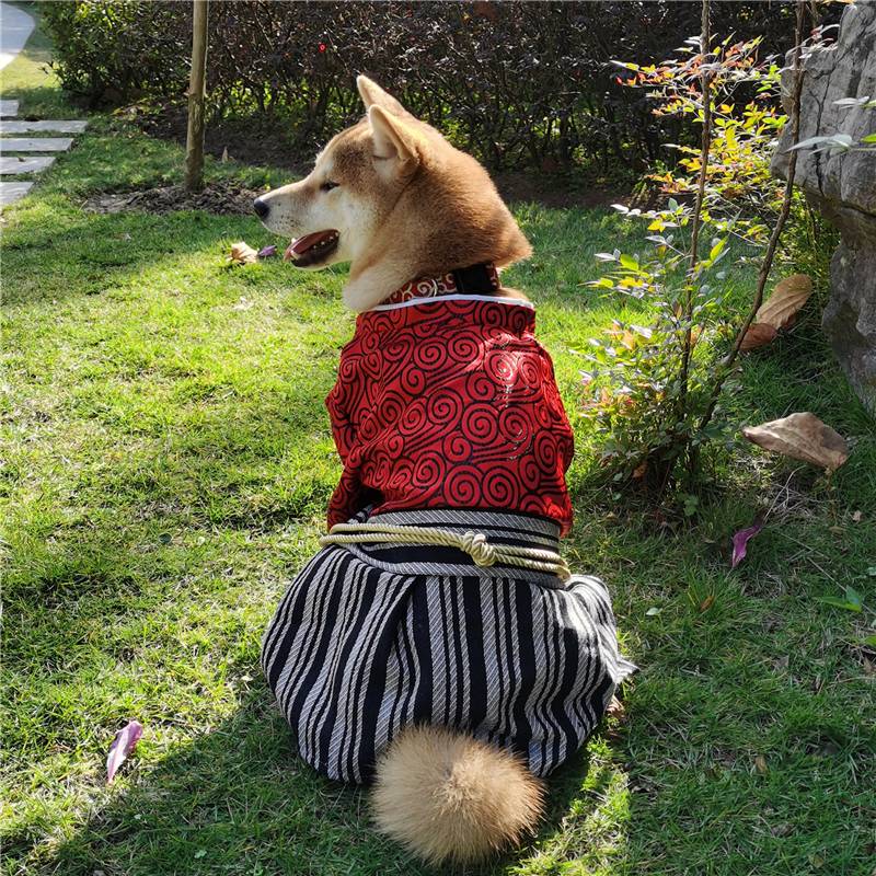 柴犬和服 拍賣 評價與ptt熱推商品 21年4月 飛比價格