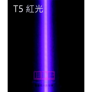 T5 24W/14W/18W/21W 燈管