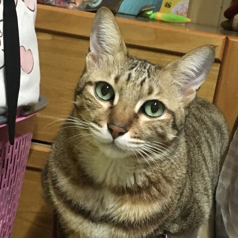 趕快來挖寶哦 store logo