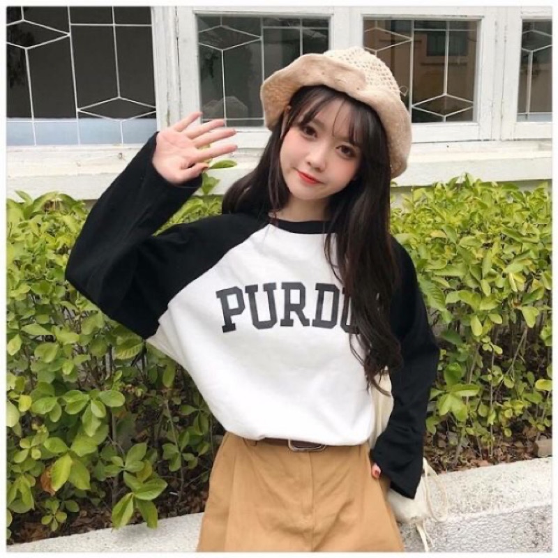 Purdue Ptt Dcard討論與高評價網拍商品 2021年11月 飛比價格