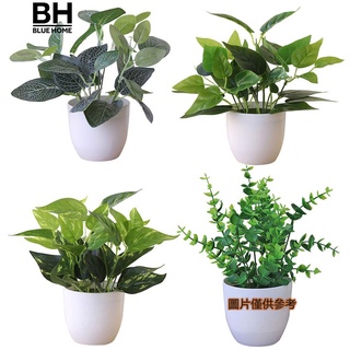 居家裝飾 仿真植物盆栽 龜背葉婚慶隔斷裝飾 尤加利葉綠化假樹景觀草