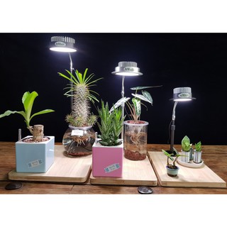 UVa全光譜 花架 花器直置式燈板 仿太陽燈上色防徒led植物補光燈.植物燈.多肉補光燈.植物生長燈.桌燈.檯燈.爬蟲燈