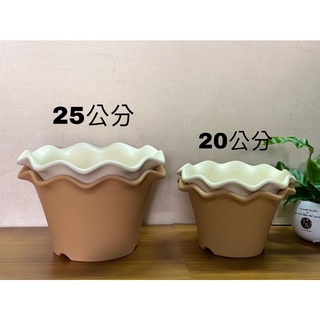花兒姿 蓮花盆20CM 25CM 塑膠盆 種植 育苗 園藝資材