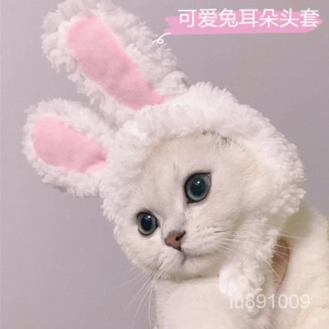 優選好物 抖音網紅寵物貓咪兔子耳朵頭套保暖帽子可愛搞怪拍照頭飾 JSAk