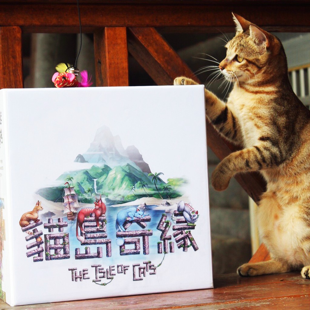 貓島奇緣 The Isle of Cats 桌上遊戲 桌遊 貓 貓咪 繁體中文版