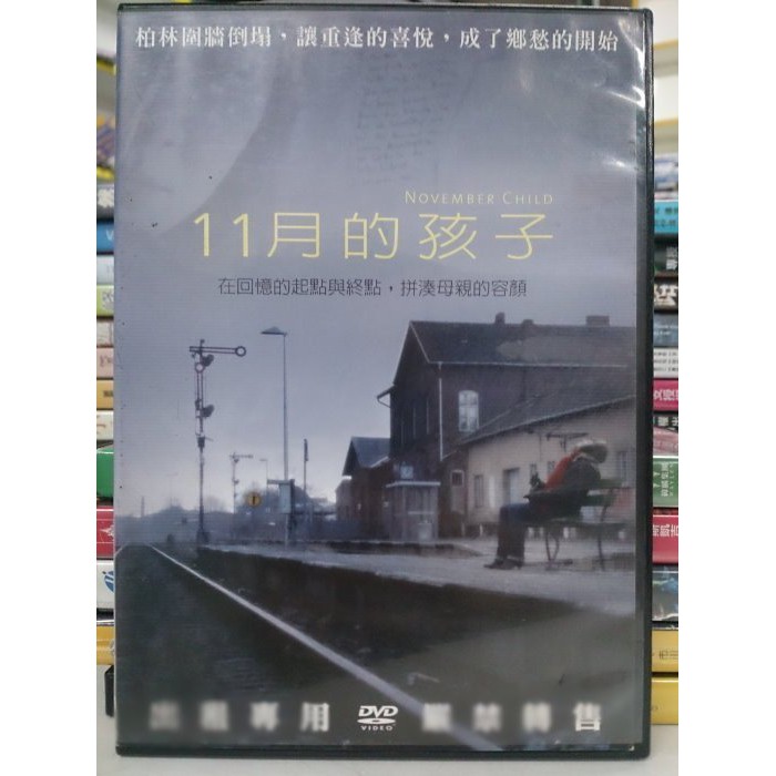 影音大批發-O02-026-正版DVD-電影【11月的孩子】-在回憶的起點與終點 拼湊母親的容顏(直購價)