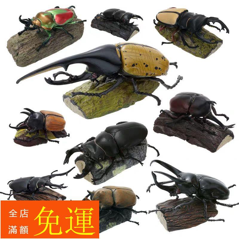 安心の関税送料込み クワガタ、カブトムシの模型です✨ | www
