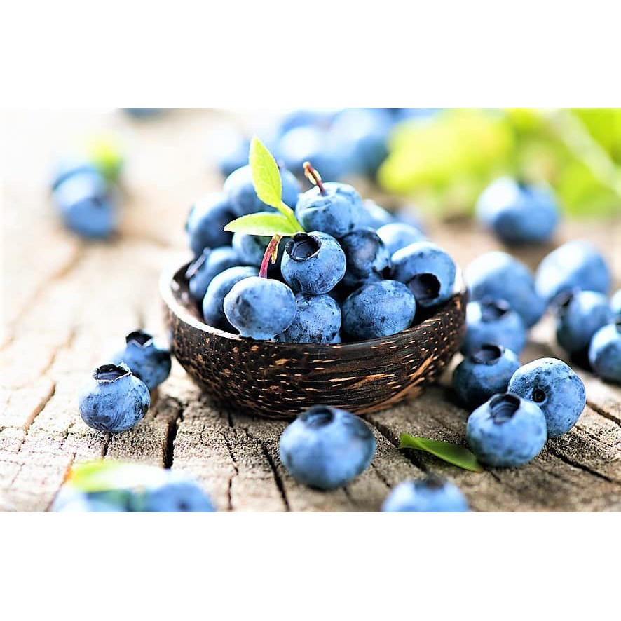 北美藍寶石-超級食物藍莓粉