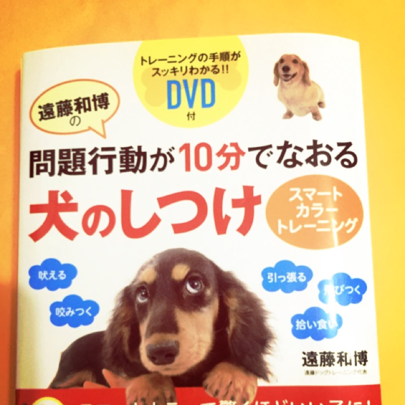 日文版 犬 狗 問題行動 遠藤和博著 狗狗行為矯正書 蝦皮購物