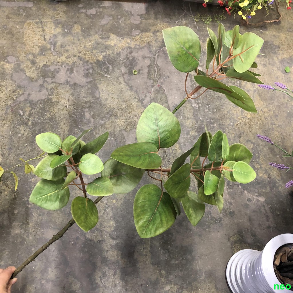 滿冠家居配件 仿真烏桕葉木籽葉綠葉戶外裝飾樹葉插花綠葉假花桉樹葉胡楊葉白樺 蝦皮購物